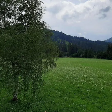 Gästehaus Koch Zöblen Exterior foto